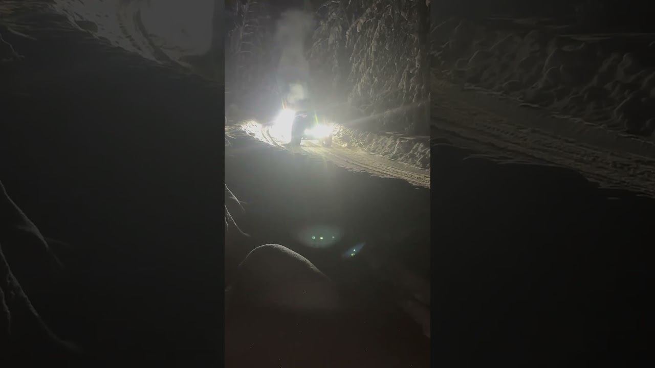 Всё на Всю !!! смотреть онлайн