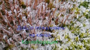 Агро Огород 🌾🐑🐰🥕