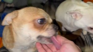 Всем наидобрейшего утречка и самого чудесного начала дня.