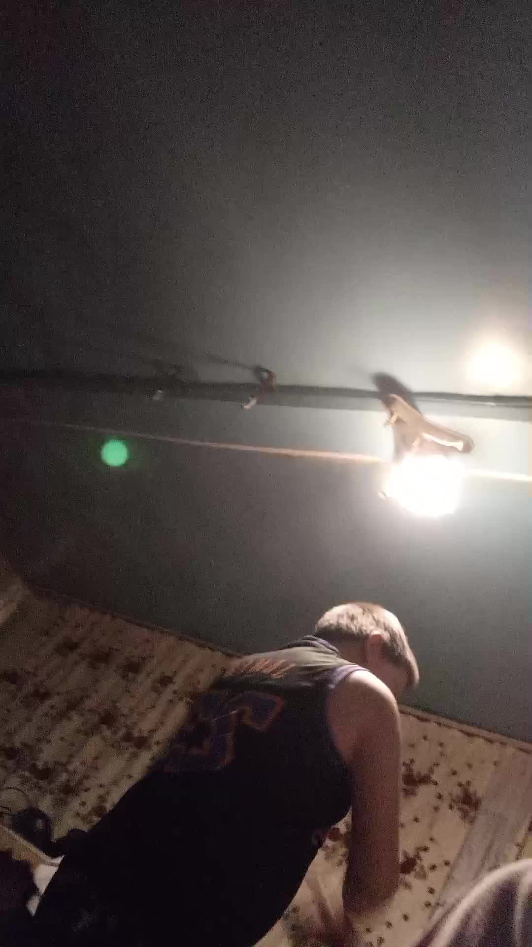 РАЗВЛЕКУХА 😂 смотреть онлайн