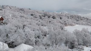 Песенная Медитация 28.01.2026