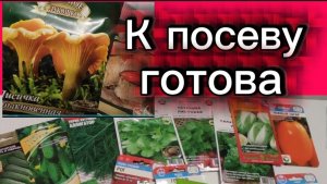 Купила семена. Когда начну посев...