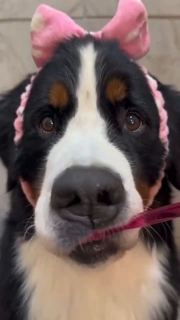 IMG_8935.MP4 смотреть онлайн