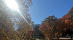 Partizan " Туре 64"