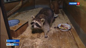 В Республиканском центре экологического образования возобновили программу опеки над питомцами