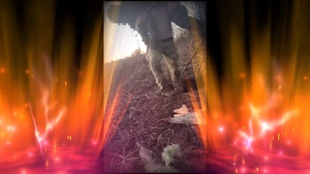 ПОЛУЧЕН ПРИКАЗ!!! Александр Басин!!! Александр Смирнов!!! смотреть онлайн