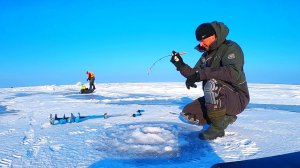 НА РЫБАЛКУ 8 КИЛОМЕТРОВ ОТ БЕРЕГА! 2026