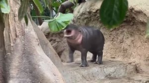 НЕМНОГО ЗЛЮСЬ