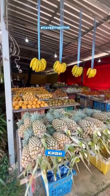 Драгонфрут в Таиланде очень красивый снаружи, а вот как вам он на вкус?🍉🍌🍊 Сколько ставите из 10? смотреть онлайн