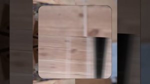 1000047222.mp4 (Собака наблюдает за устройством лестницы на 2 этаж в доме А-фрейм)