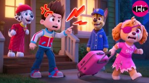 Щенячий патруль и Маршалл. Залипательное видео. Мультфильм для детей и малышей. Анимация 145