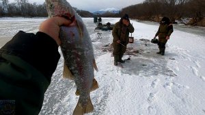 КАМЧАТКА  Рыбацкий рай  #7  Засолка красной икры  Уха по Камчатски