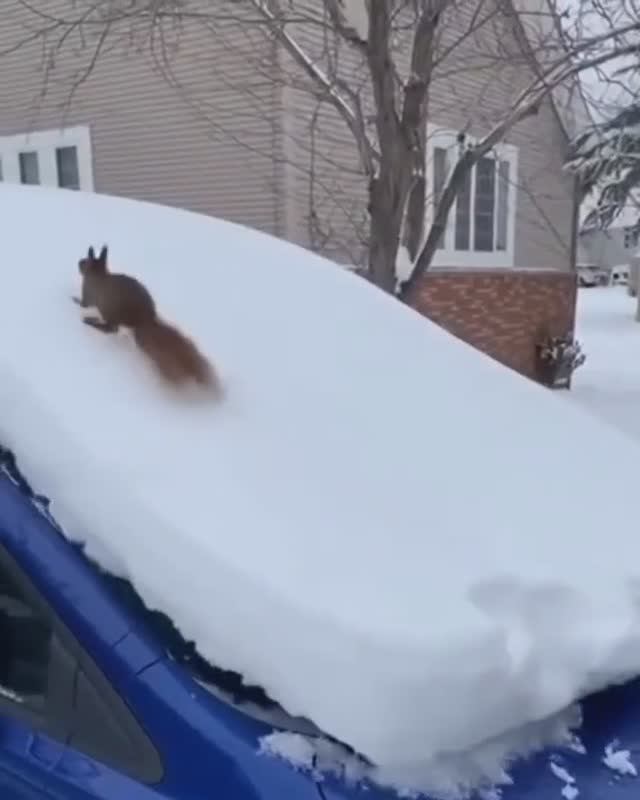 Хейтеры скажут - ИИ смотреть онлайн