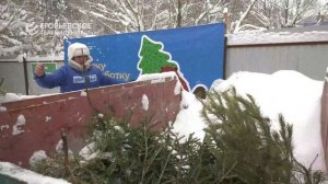 Вторая жизнь новогоднего дерева. Егорьевцы присоединились к акции «Сдай ёлку на переработку»