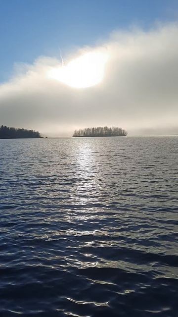 Краски осени,2024 год. смотреть онлайн