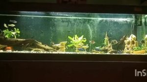 Аквариум на 400 литров.