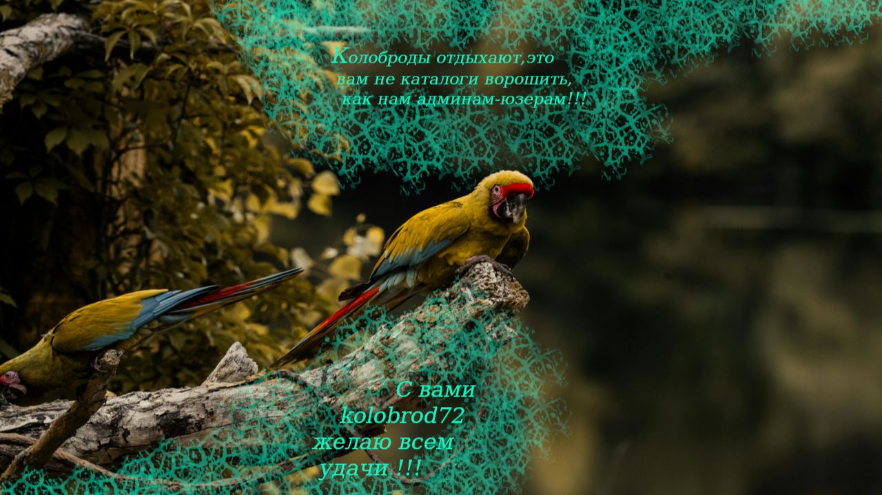 scrypt_freia