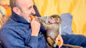 Так МИЛО! Люся с Владом делятся ПОСЛЕДНЕЙ МОРКОВКОЙ, а Ангелина собирается в поход!