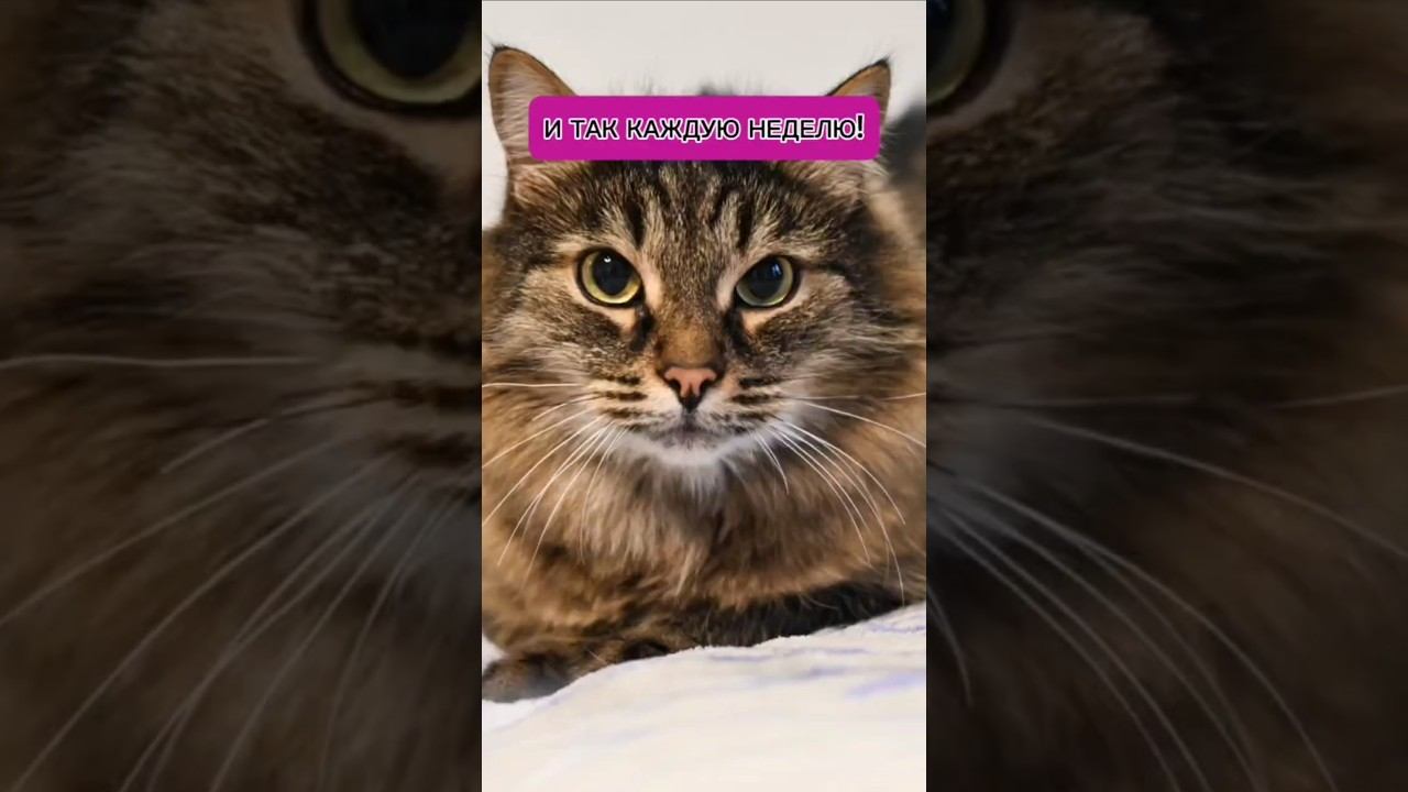 Коррекционные занятия для особенных детей #екатеринбург смотреть онлайн