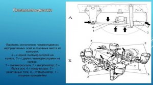 ТО и ремонт шасси автомобиля. 31.01. 531гр. Основное диагностика шасси автомобиля