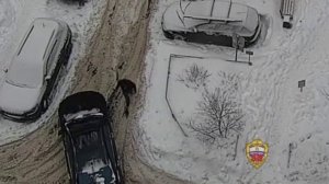 Полицейские на юге столицы задержали подозреваемого в хулиганстве