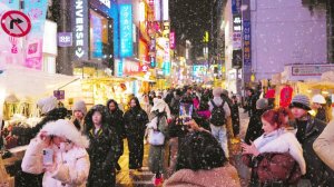 눈이 내리자 명동에 몰린 수많은 외국인 인파! 처음 눈을 구경하는 사람들의 반응 서울여행워커