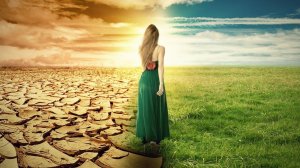 Что дальше?.. - Дальше - больше!..