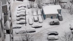 Кошка и метель😃..🌨️🌨️🌨️Снежная стихия в Москве.