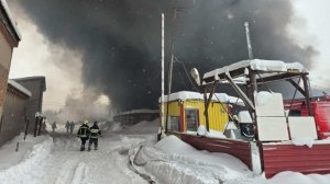 Крупный пожар охватил цех агрокомплекса в Подмосковье