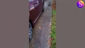 Шуточные розыгрыши на Хэллоуин 🎃 Самые забавные реакции, снятые на камеру!. Видео из интернета.