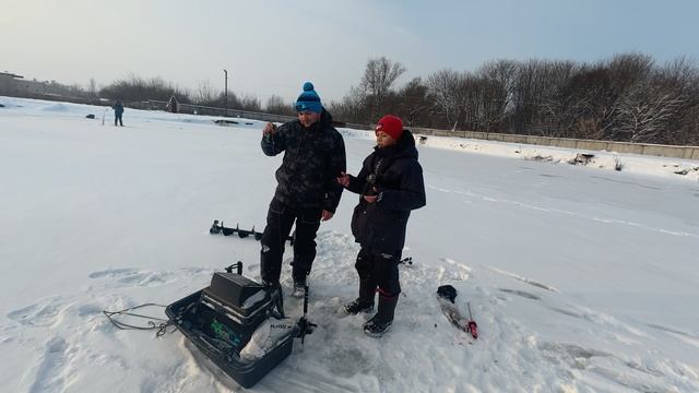 Форель и паноптикс🙂👍 смотреть онлайн