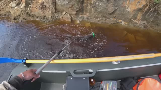 Я БЫЛ УДИВЛЁН, КОГДА ПОМЕНЯЛ ВОБЛЕР! РЫБАЛКА НА СПИННИНГ У ДЕРЕВНИ С ЛОДКИ \ РЫБАЛКА НА ТРОЛЛИНГ! смотреть онлайн