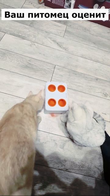 Артикул Я.Маркет 👉 YM10206962 (не забудь при поиске YM) смотреть онлайн