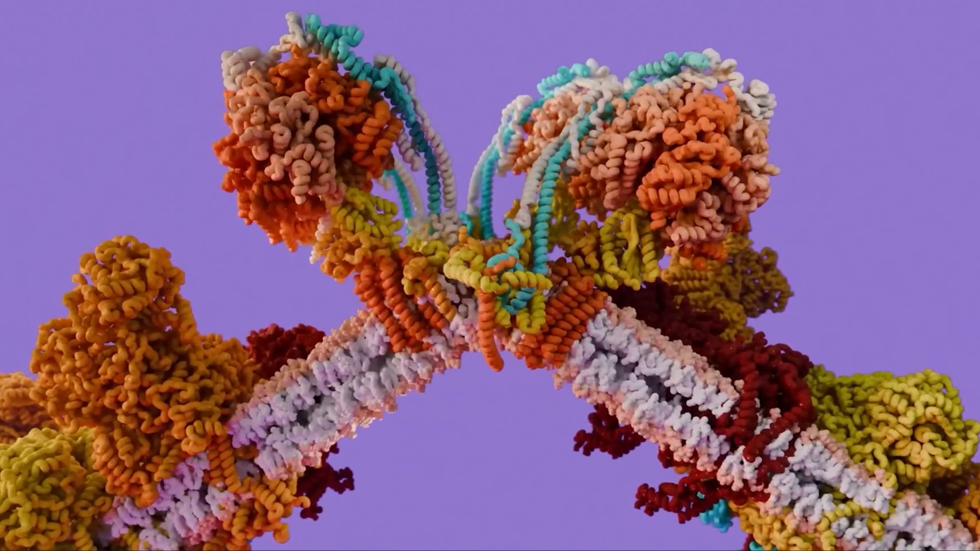 Как действует кофеин смотреть онлайн