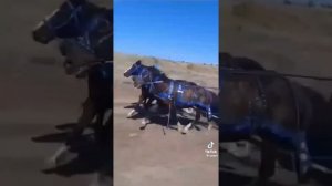 напоминая нам всегда