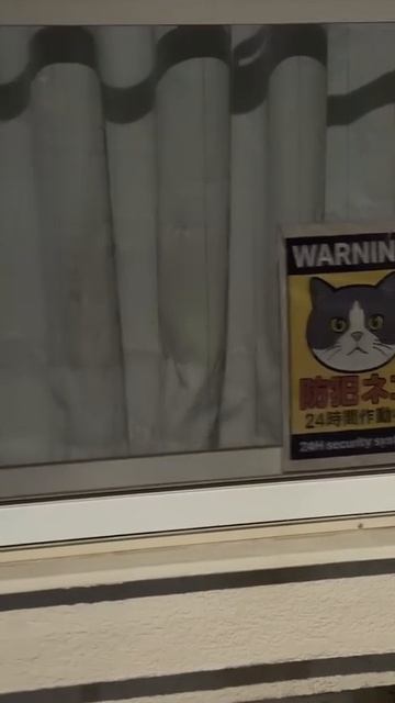 Круглосуточная система наблюдения смотреть онлайн