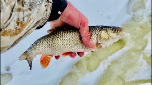 Ловля косынками на небольшой речке #4