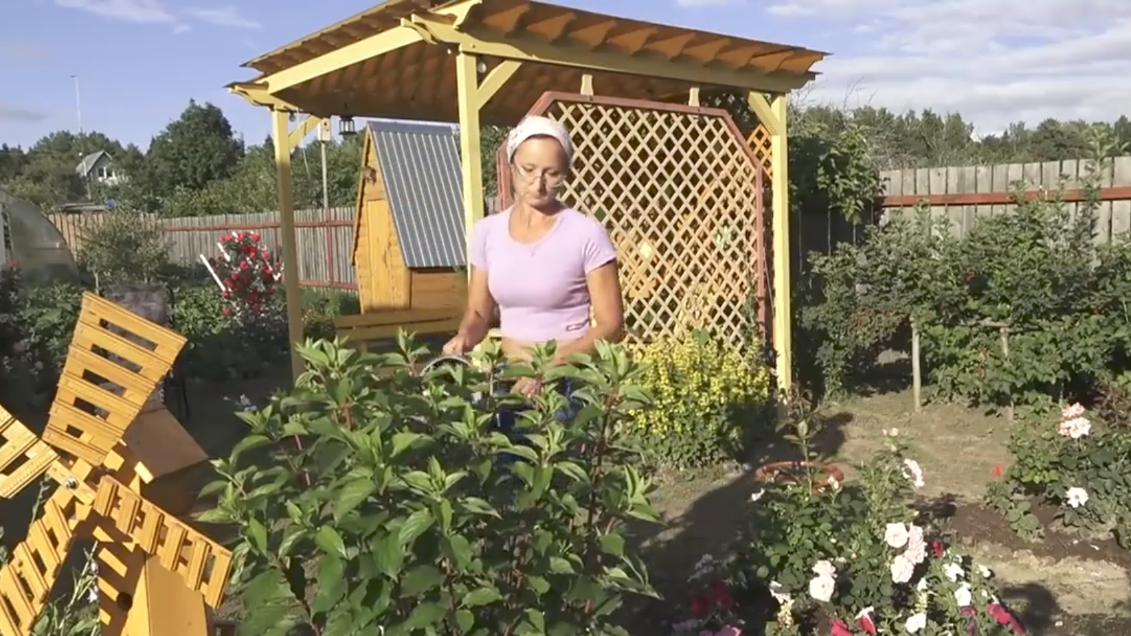 6 соток 2 июля 2021 год. Поливаем, дождей нет... смотреть онлайн