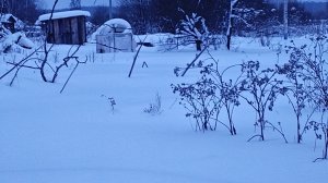 Утренняя прогулка по снегу.  Танкист555.