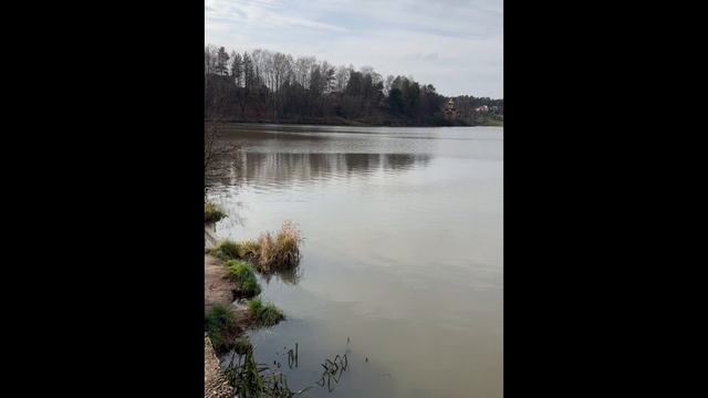 🇷🇺🇷🇺🇷🇺Усадьба Суханово осень 2023🇷🇺🇷🇺🇷🇺 смотреть онлайн