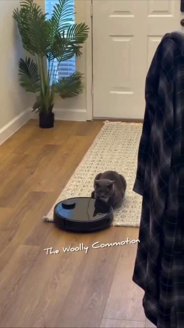 Идеальная нервная система