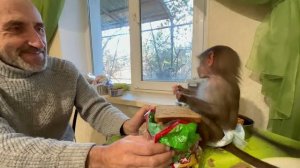 Люся учит всех ПРАВИЛЬНО ЗАВТРАКАТЬ! ПАСТИЛА с ХЛЕБОМ- рецепт от Люси)))