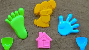 Учим Названия Цветов | Играем с Ручками и Ножками | Обучающее видео | Развивающий Мультик Для Детей