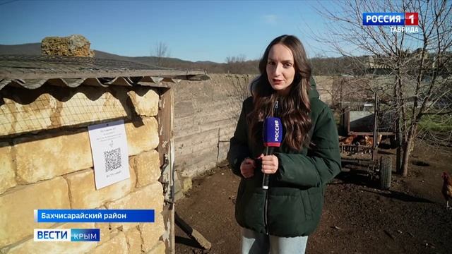 В Крыму провели первую в этом году вакцинацию домашних животных смотреть онлайн