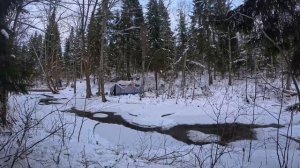 Троллея своими руками в лесу над речкой.