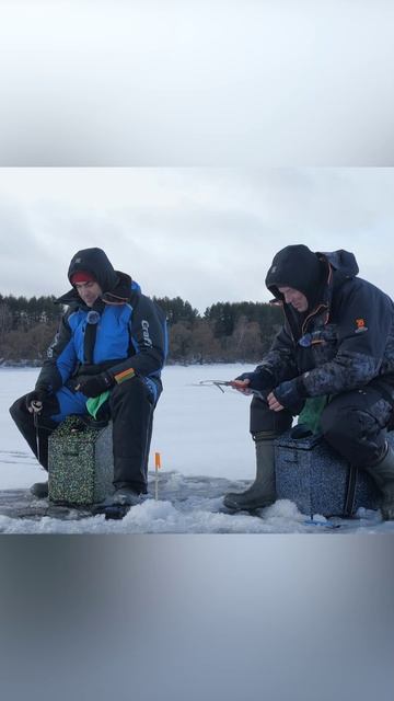 Душевная рыбалка на леща! Ссылка на видео в описании. смотреть онлайн
