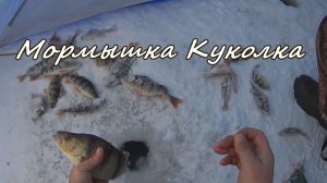 Мормышка КУКОЛКА .Ловит только крупного окуня на реке