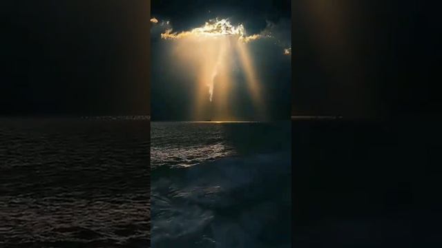 VID_20260128_210448_427.mp4 смотреть онлайн