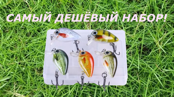 Я КУПИЛ набор из 5 ВОБЛЕРОВ за 250₽. На что из этого можно ЛОВИТЬ? (ТЕСТ В ВОДЕ) смотреть онлайн