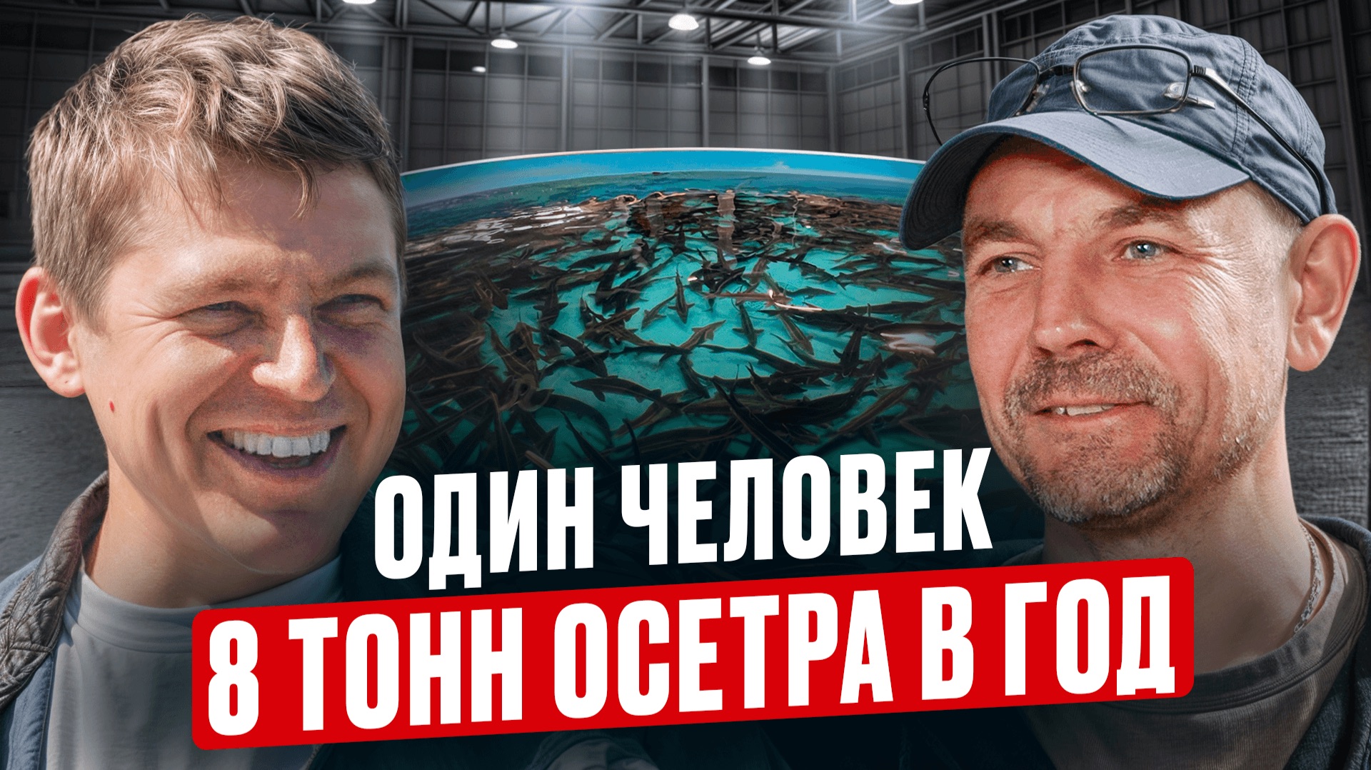 50% ЧИСТЫМИ на рыбе! Как из обычного ангара сделать ПРИБЫЛЬНУЮ ферму с нуля? Обзор УЗВ из Волгограда смотреть онлайн